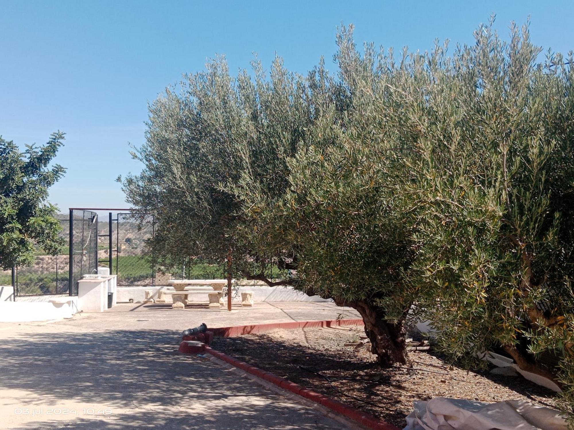 Casa Las Moscas Murcia Eksteriør bilde